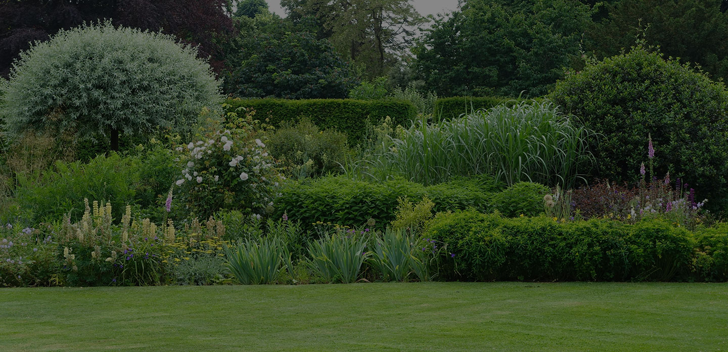 Garten Kemper Startseite